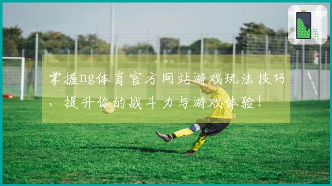 掌握ng体育官方网站游戏玩法技巧，提升你的战斗力与游戏体验！