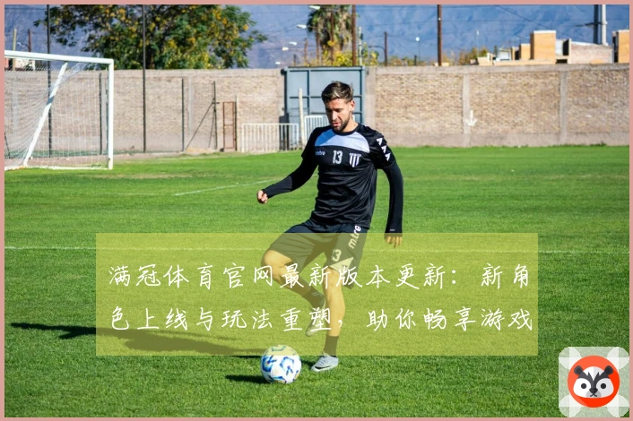 满冠体育官网最新版本更新:新角色上线与玩法重塑,助你畅享游戏新体验